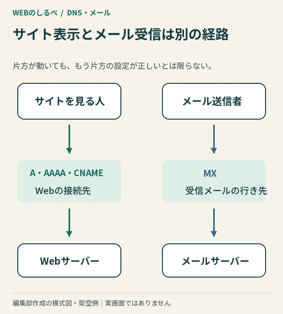 サイト閲覧者はA・AAAA・CNAMEを通ってWebサーバーへ、メール送信者はMXを通ってメールサーバーへ進む別々の経路。
